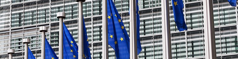 European Union flags against the European Parliament building